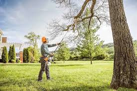 Best Lawn Renovation and Restoration  in Moa, UT
